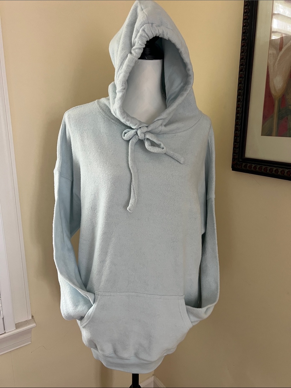 Cozy Women's Plush Hooded Sweatshirt in Pale Blue